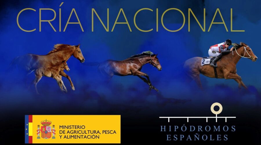 La Asociación firma con el MAPA un Convenio para el apoyo de la cría de caballos y yeguas PSI nacidos en España